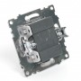 Выключатель 2-клавишный c индикатором (механизм) STEKKER GLS10-7102-04 250V 10А серия Катрин, шоколад - 