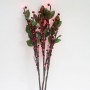 Световая фигура "Красные ягоды с листьями", LD218B Feron, артикул: 26894 - 