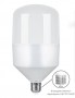Лампа светодиодная, 49LED (40W) 230V E27 6400K, LB-65 Feron - 